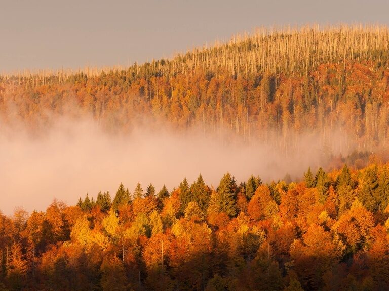 Zur Lagebeschreibung