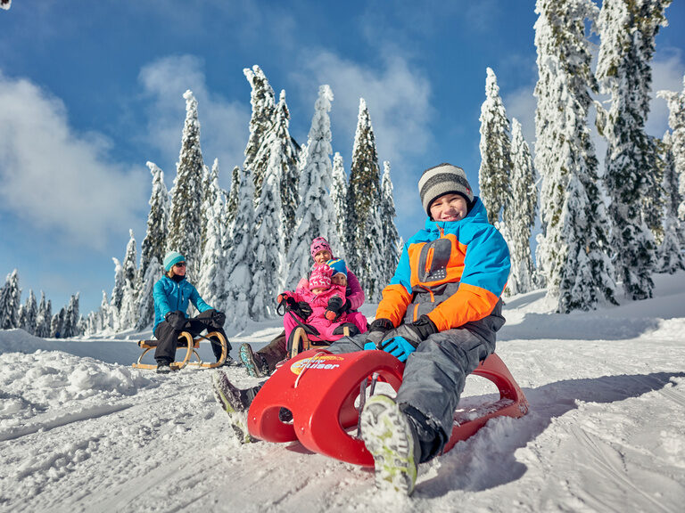 Mehrere Kinder haben eine tolle Zeit mit ihren Schlitten im Bayerischen Wald.