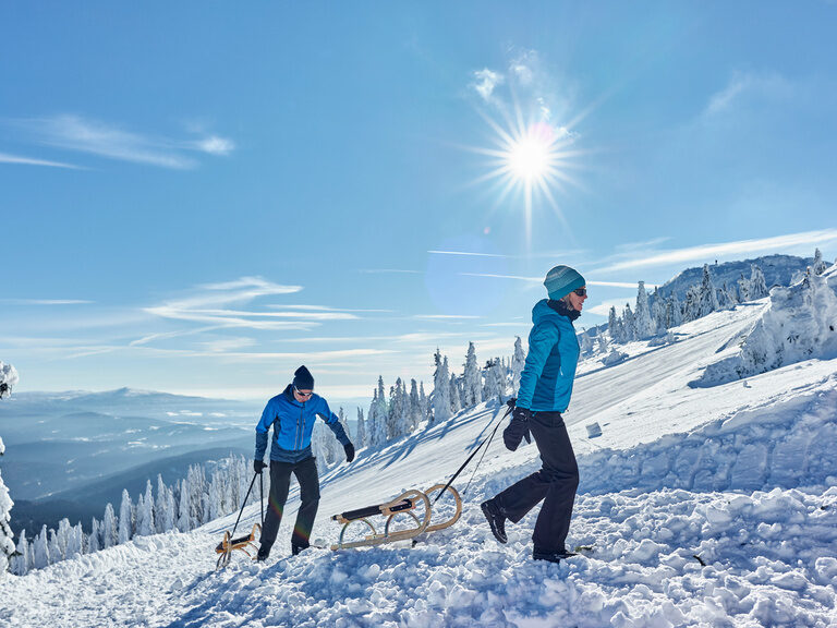 Zwei Personen sind mit ihren Schlitten am Silberberg in Bodenmais unterwegs